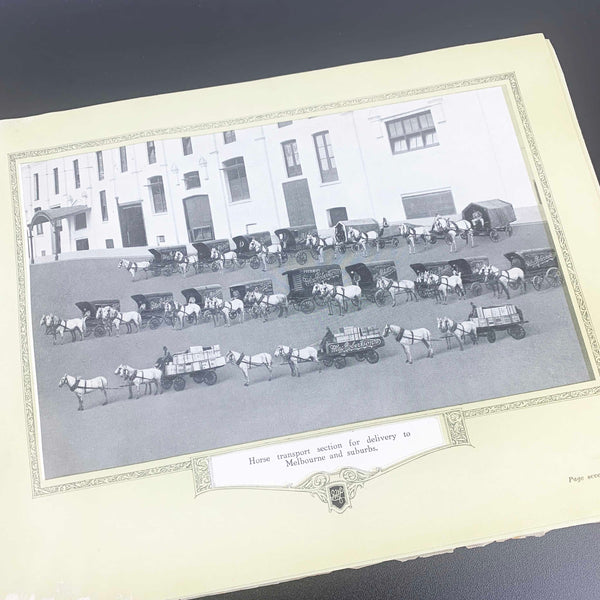 1921 MacRobertson Collectible Book 'A Young Man and a Nail Can'