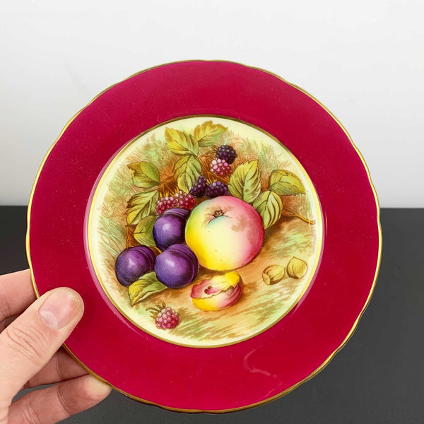 Aynsley Fruit pattern plate and gold saucer replacements - Sold separately
