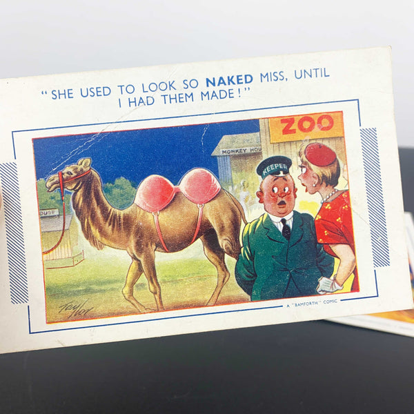 1950's Bamforth Comic Series postcard collection - Set of 6