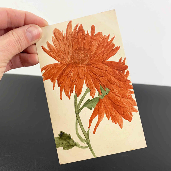 Early 1900's embossed floral postcards - Set of 3