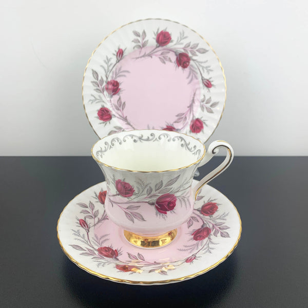 Paragon limited edition pink ombre Fascination trio