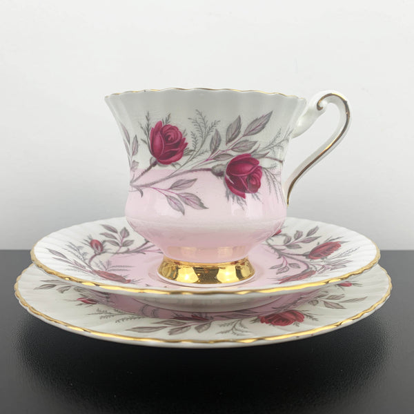 Paragon limited edition pink ombre Fascination trio