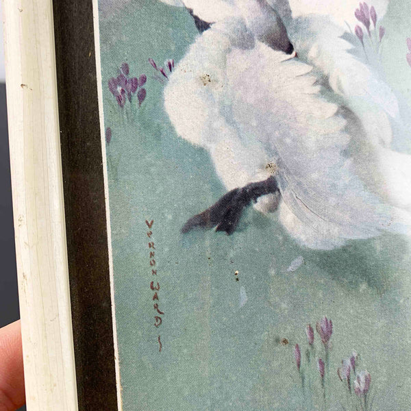 Mid century bird wall prints by Vernon Ward - Set of 2