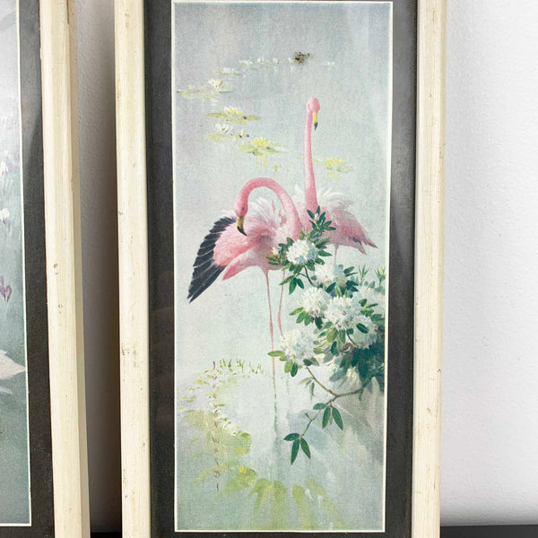 Mid century bird wall prints by Vernon Ward - Set of 2