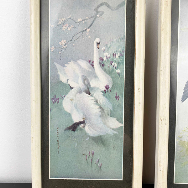 Mid century bird wall prints by Vernon Ward - Set of 2